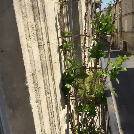 Chez Noelle Et Emmanuel Montpellier